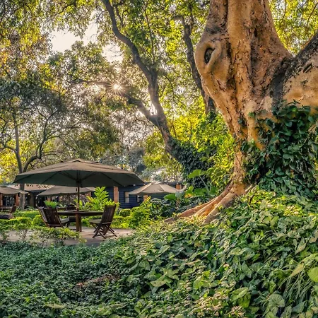Elewana Arusha Coffee Lodge-3